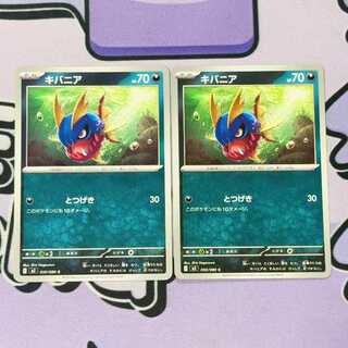 Carvanha C 050/080 2枚