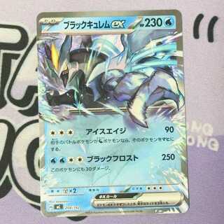 Black Kyuremex (normal specs) TD 204/742 1枚