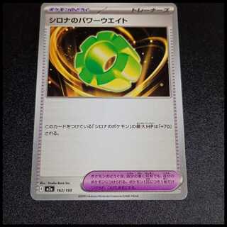 Cynthia power weights 162/193 1枚