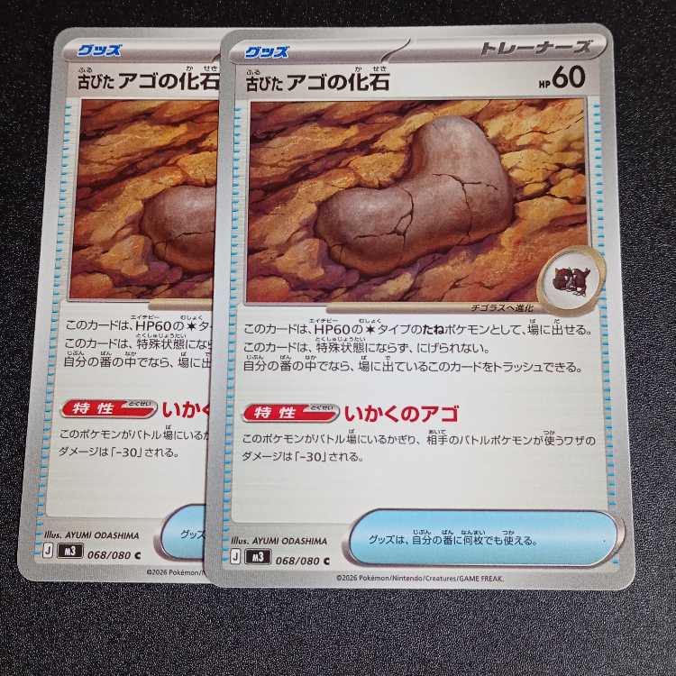 Old jaw fossil C 068/080 2枚