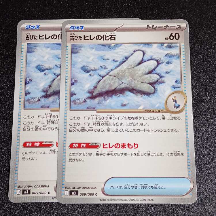 Old fin fossil C 069/080 2枚