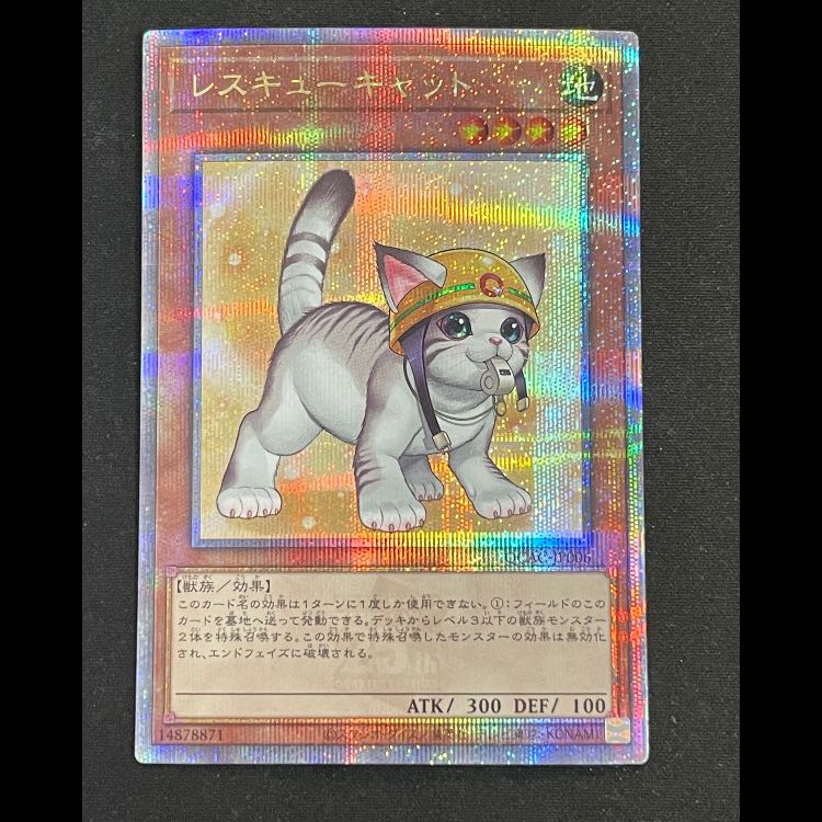 Rescue Cat different picture 25th QCAC-JP006 1枚