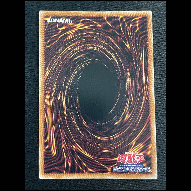 Rei Senkohime, different picture, 25th QCAC-JP008 1枚