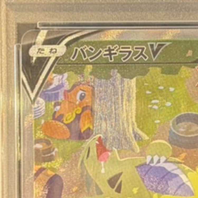 [PSA10] TyranitarV SR 077/070 1枚