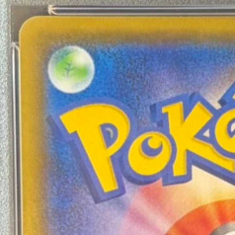 [PSA10] TyranitarV SR 077/070 1枚