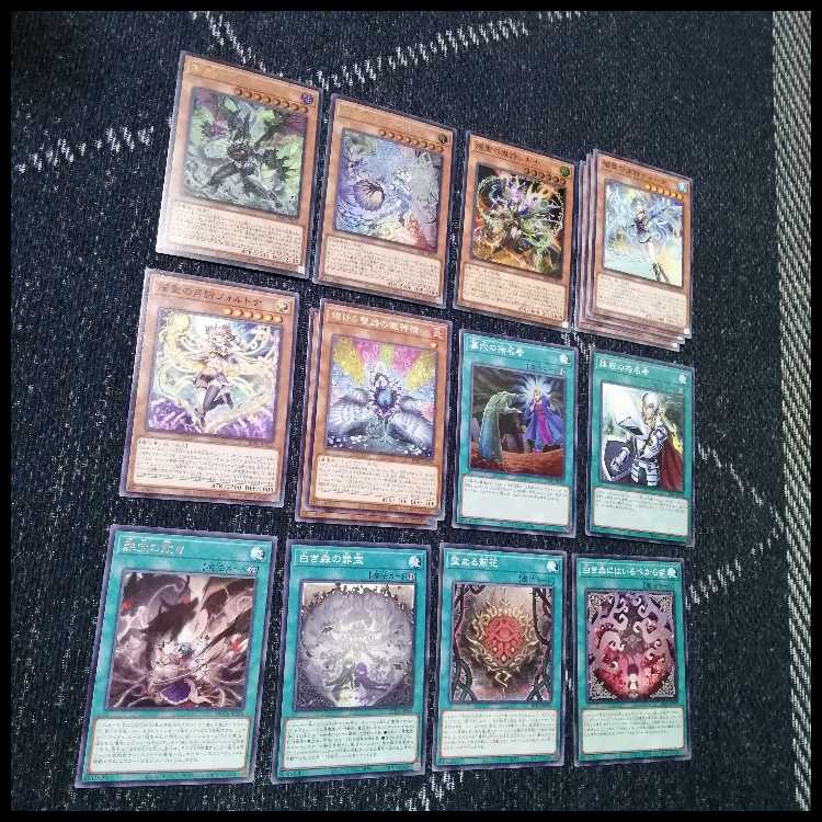Yu-Gi-Oh! Deck White Forest Azamina Elfenotes [04596]. 1枚