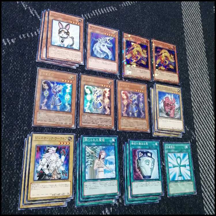 遊戯王　兎　ラギア　デッキ　1103環境　[04593] 1枚