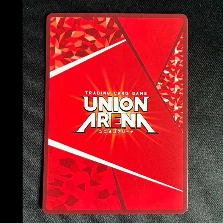 ホシグマ SR UA30BT/ARK-1-092 1枚