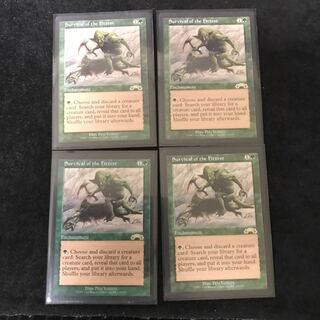 【issu0624様専用】適者生存　英4枚セット