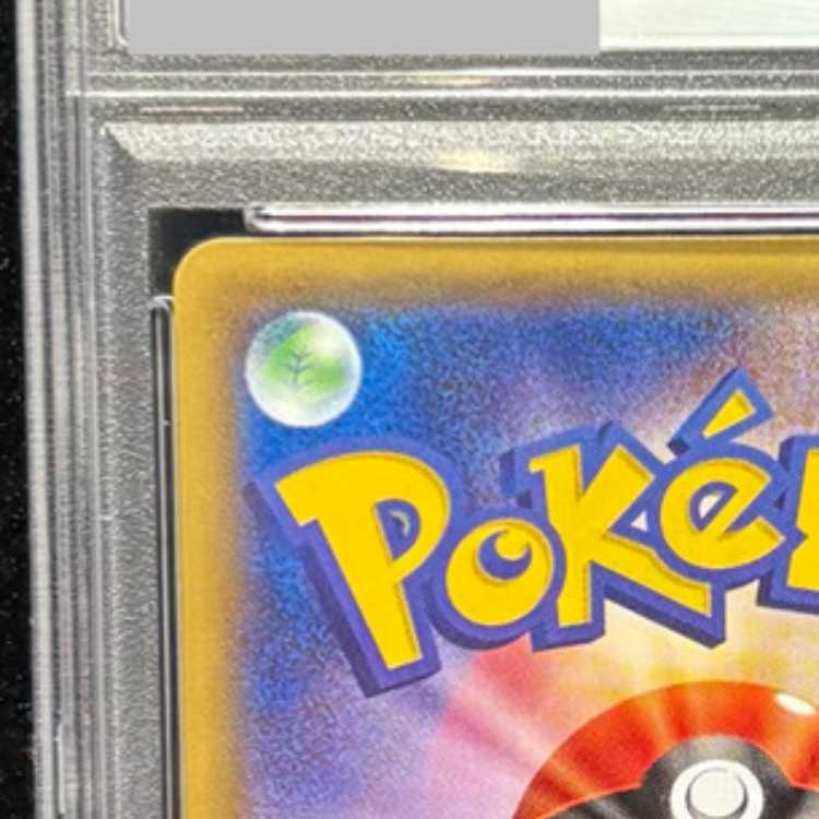 【PSA10】ポンチョを着たピカチュウ PROMO 203/XY-P 1枚