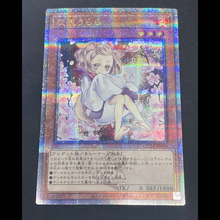 Ash Blossom & Joyous Spring, different picture 25th QCAC-JP050 1枚