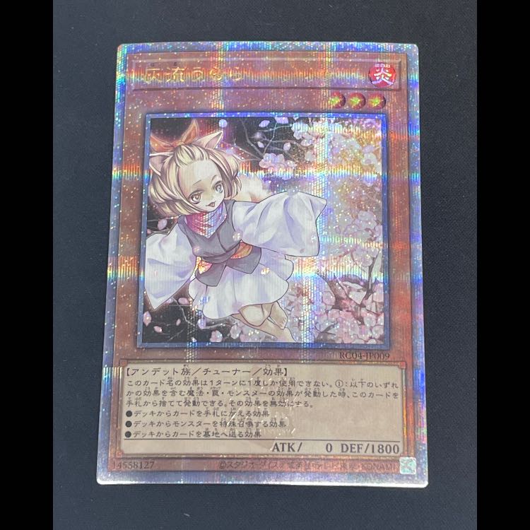 Ash Blossom & Joyous Spring 25th RC04-JP009 1枚