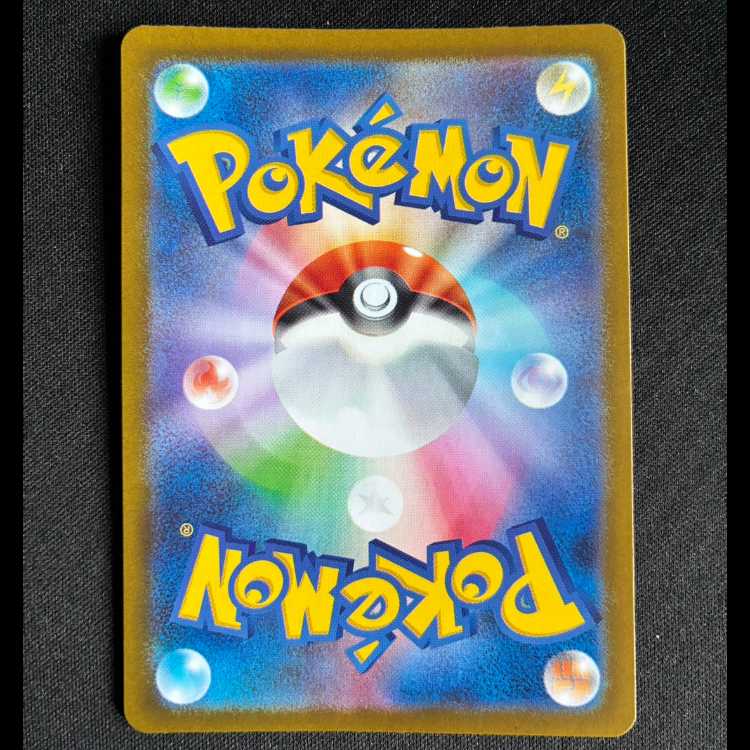 Flygon AR 088/080 1枚