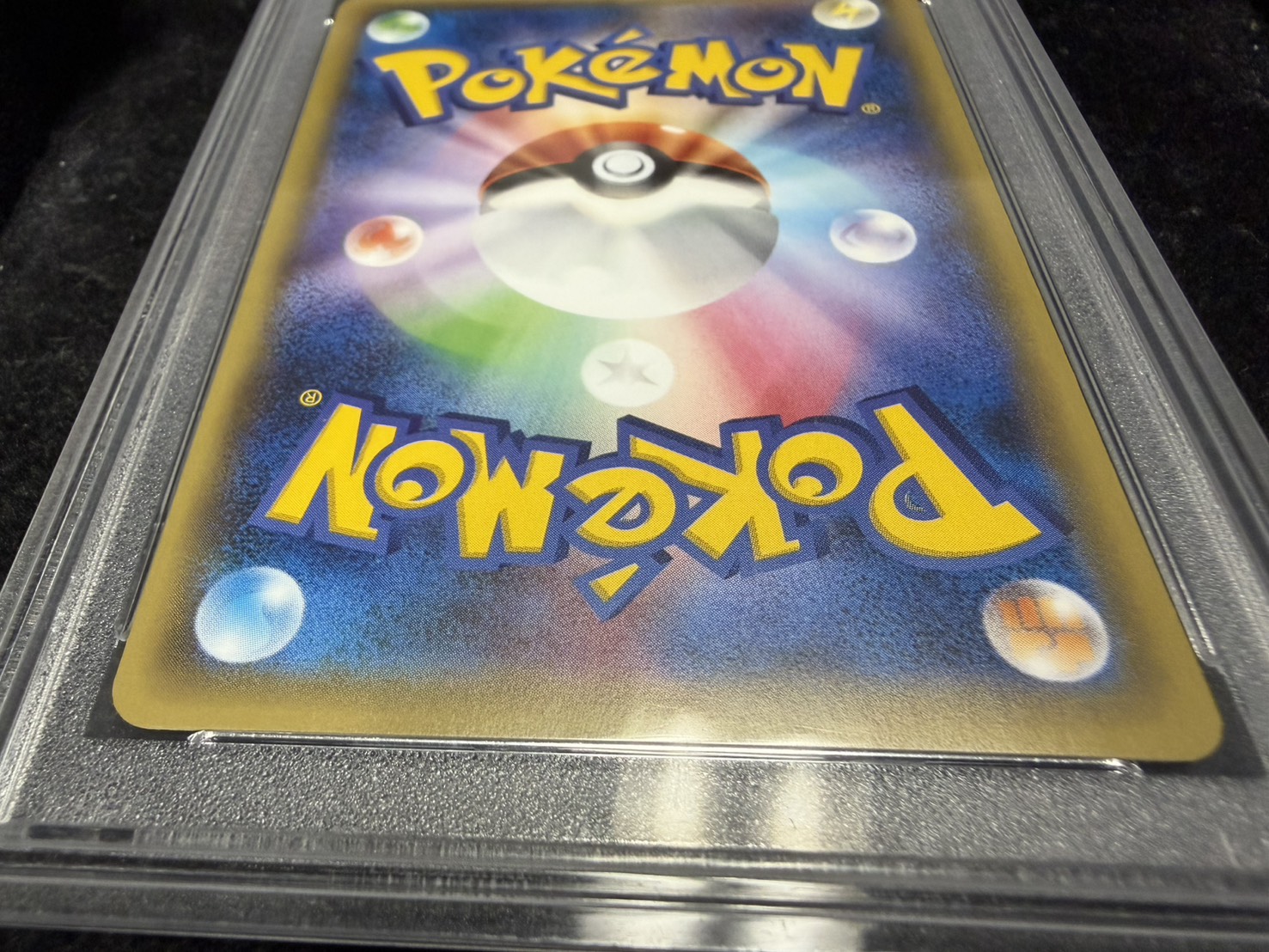 〔PSA10鑑定済〕ポンチョを着たピカチュウ【P】{231/XY-P} 1枚