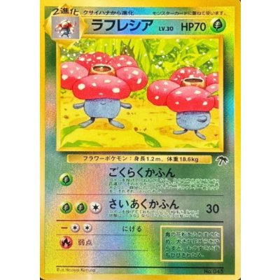 〔状態A-〕ラフレシア LV.30【-】{旧裏} 1枚