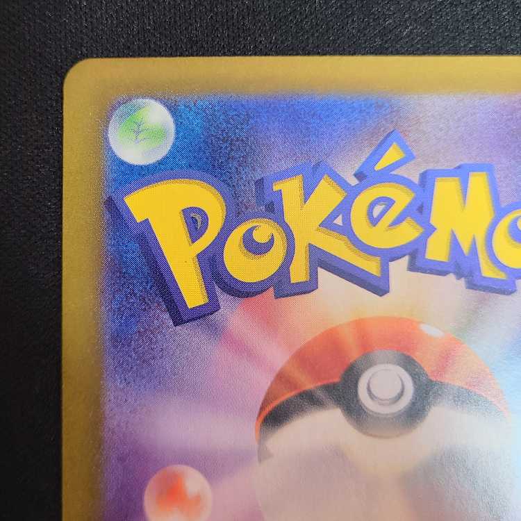 スグリ SR 122/101 1枚