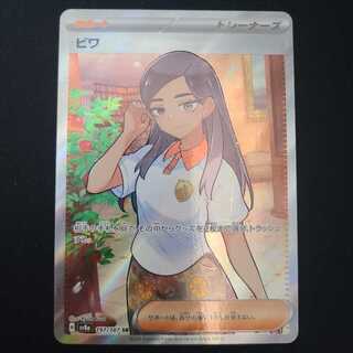 Biwa SR 197/187 1枚