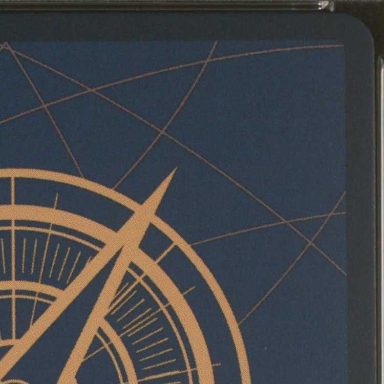 【PSA10】モンキー・D・ルフィ P P-043 1枚