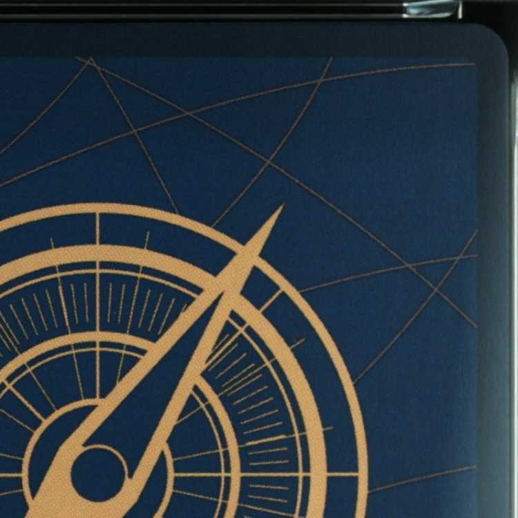 【PSA10】モンキー・D・ルフィ P P-001 1枚