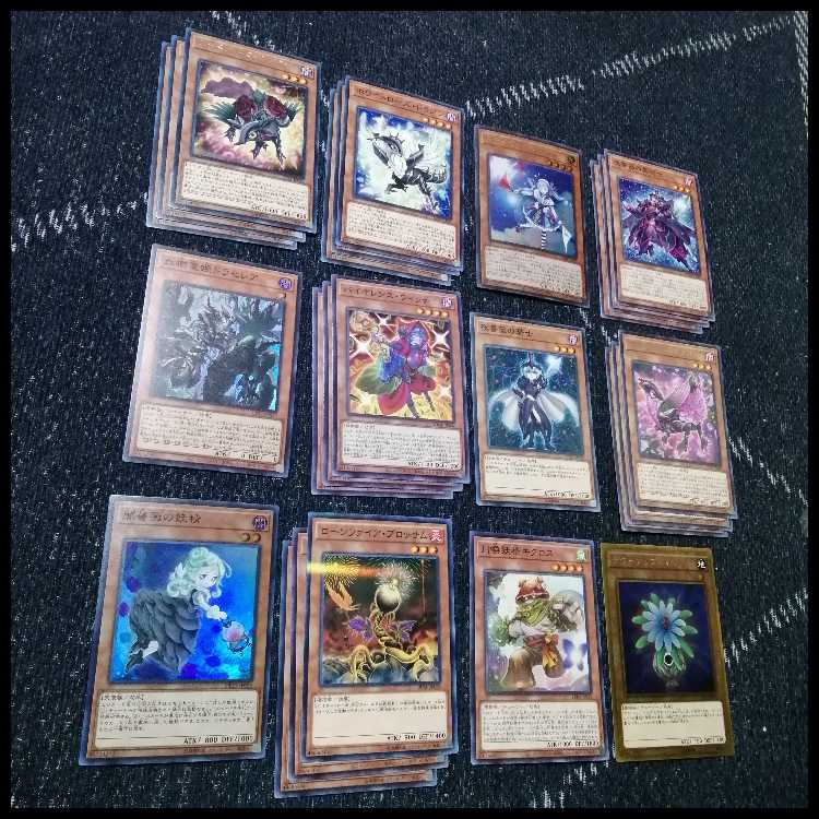 Yu-Gi-Oh! Deck Rose Dragon Gekka Ryu Black Rose [04632]. 1枚