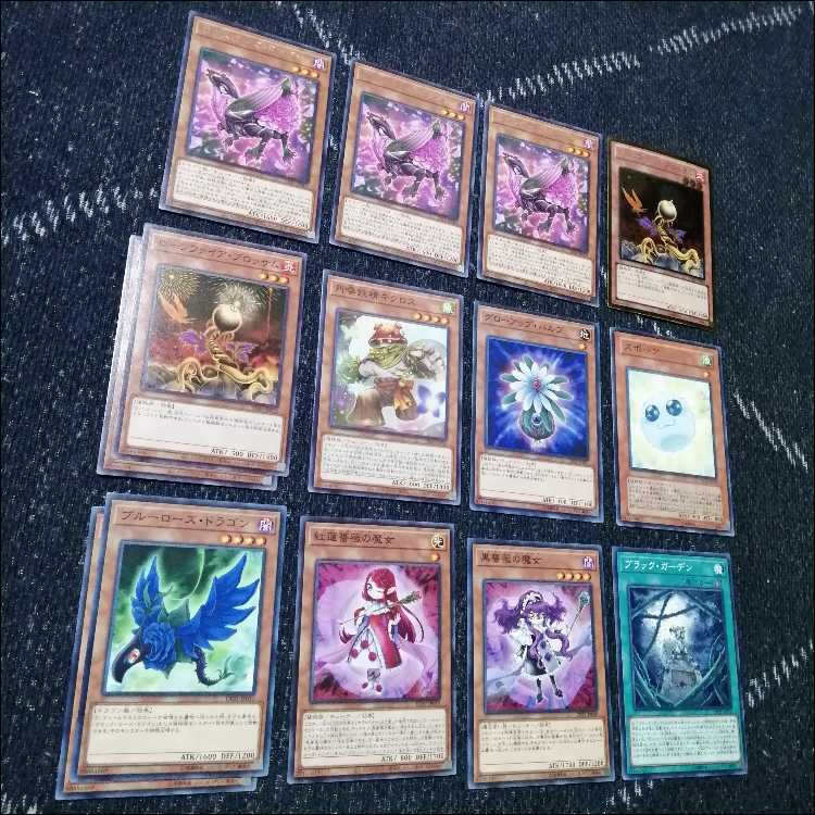 Yu-Gi-Oh! Deck Rose Dragon Gekka Ryu Black Rose [04633]. 1枚