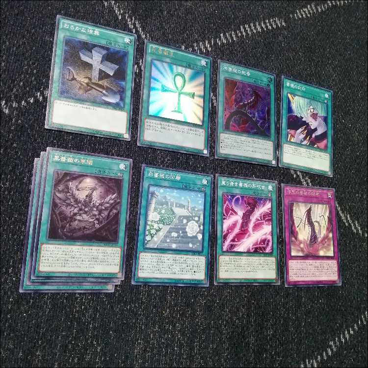 Yu-Gi-Oh! Deck Rose Dragon Gekka Ryu Black Rose [04633]. 1枚