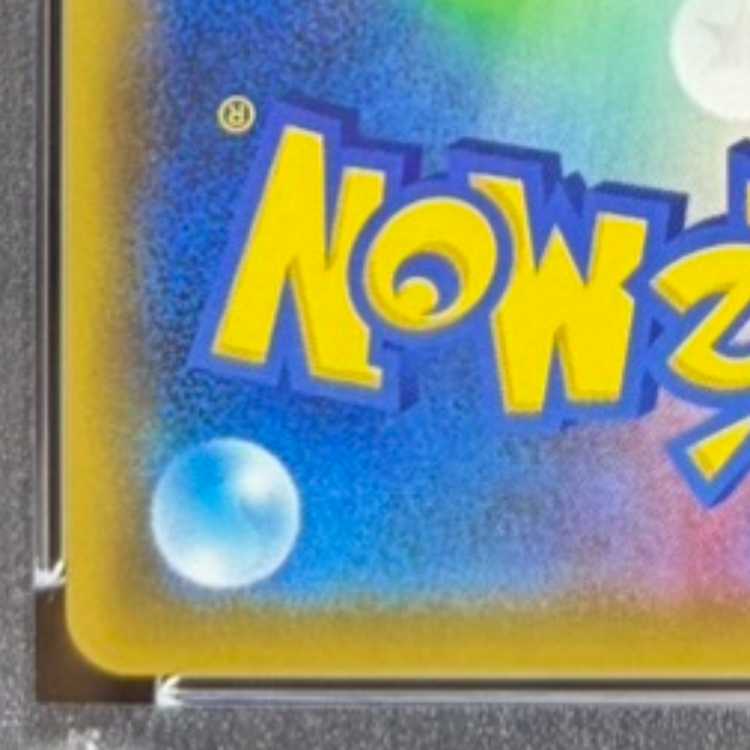 PSA10] Sightseer SR 192/173 1枚