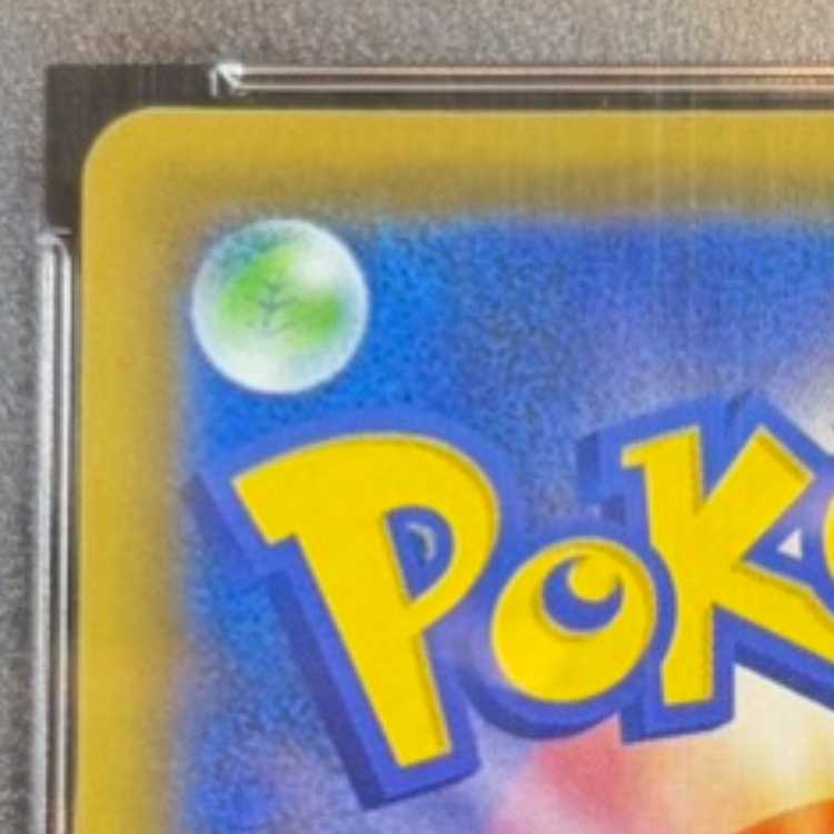 [PSA10] Erika's Hospitality SR 190/173 1枚