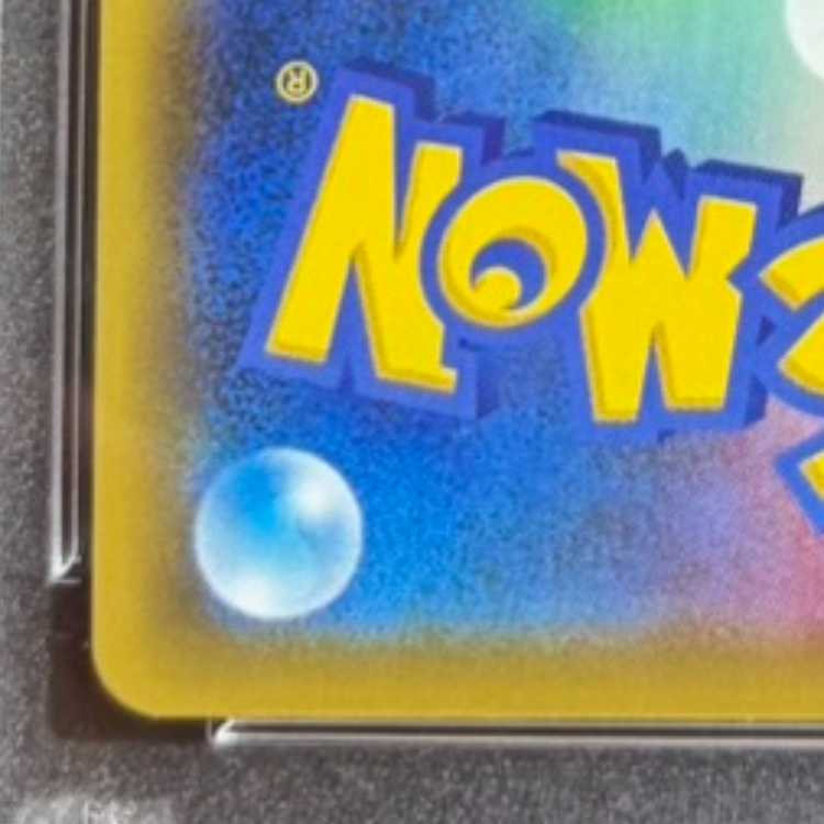 [PSA10] Erika's Hospitality SR 190/173 1枚