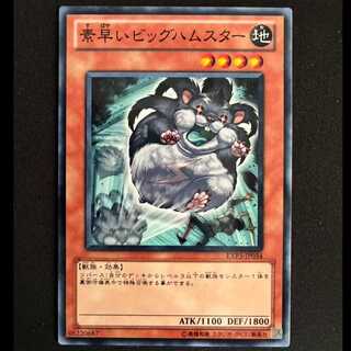 Super-Nimble Mega Hamster Normal JP034 1枚