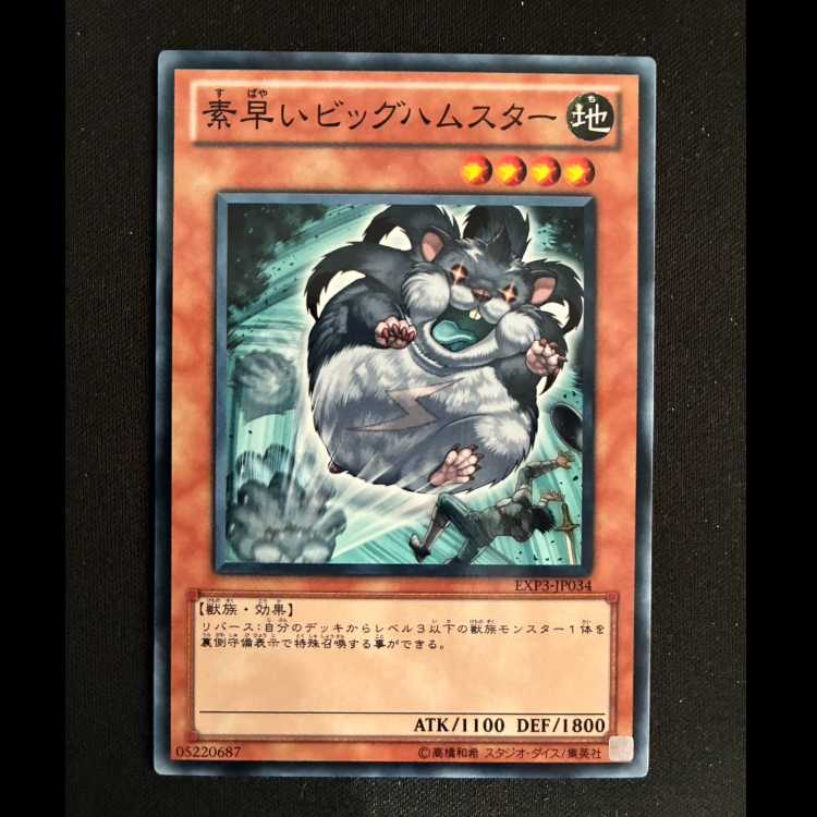 Super-Nimble Mega Hamster Normal JP034 1枚