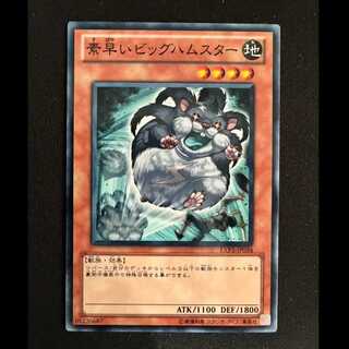 Super-Nimble Mega Hamster Normal JP034 1枚