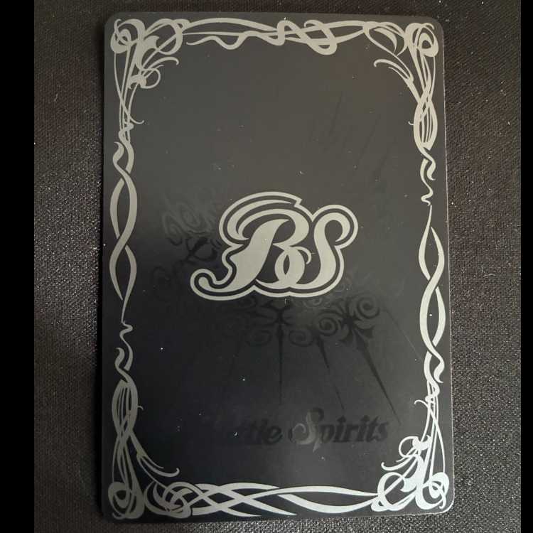 Hose Orphenok Fast attitude PB46-RV006 1枚