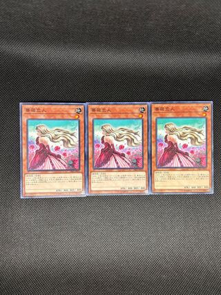 Rose Lover Normal JP039 3枚