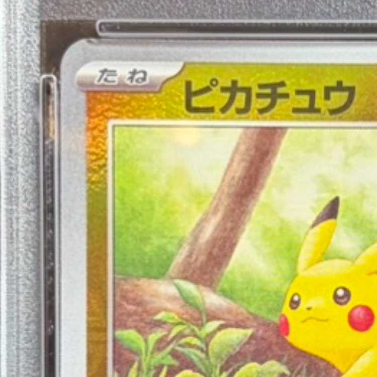 【PSA10】ピカチュウ(マスターボール柄/ミラー仕様) C 025/165 1枚