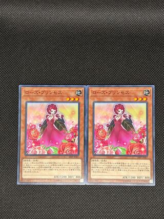 ローズ・プリンセス ノーマル JP007 2枚