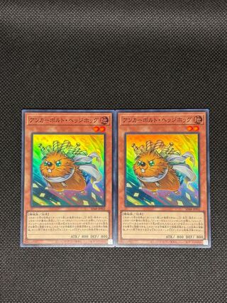 アンカーボルト・ヘッジホッグ スーパーレア SD48-JPP02 2枚