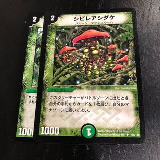 シビレアシダケ  2枚セット