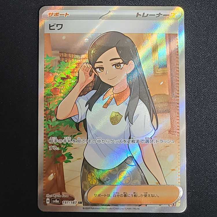 Biwa SR 197/187 1枚