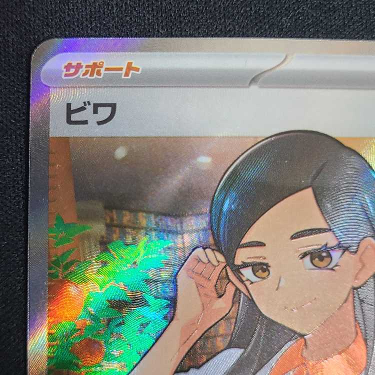 Biwa SR 197/187 1枚