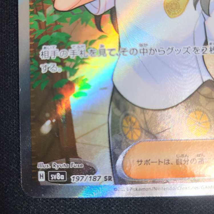 Biwa SR 197/187 1枚