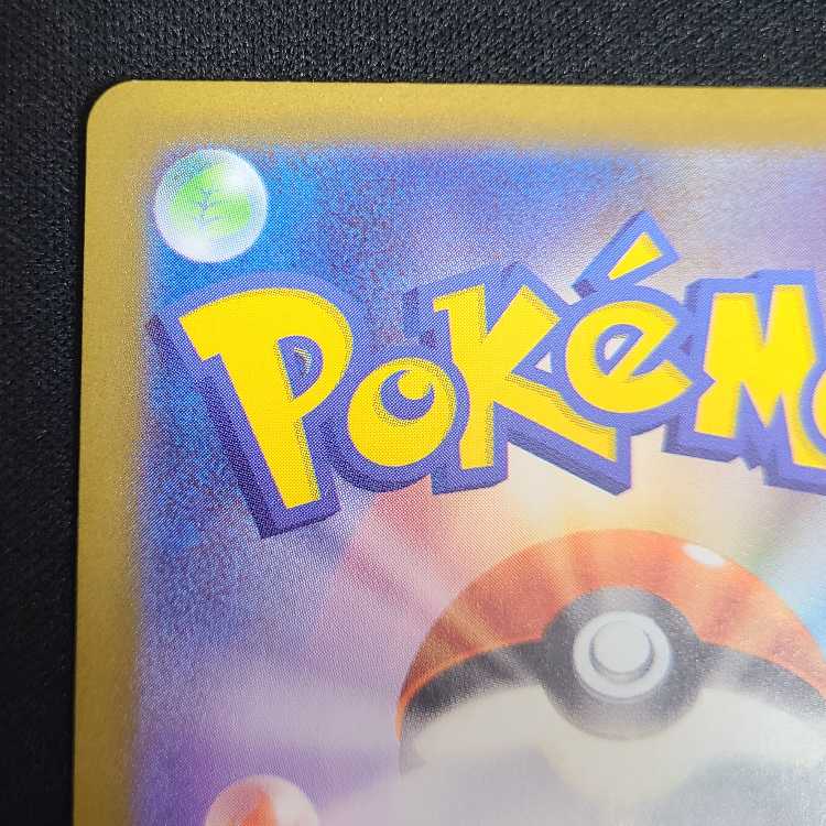 Biwa SR 197/187 1枚