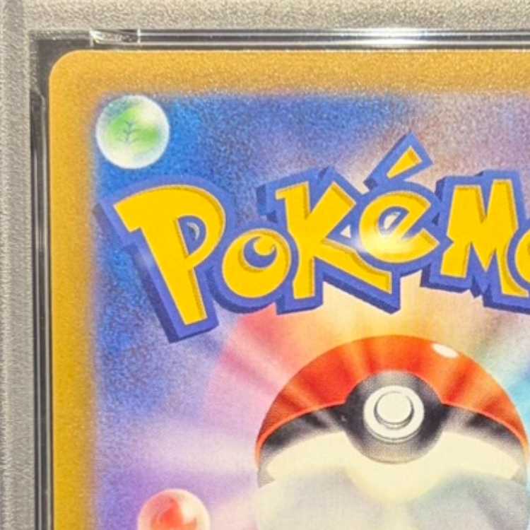 【PSA10】リーフィアV SR 071/069 1枚