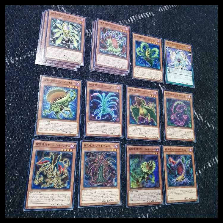 Yu-Gi-Oh Deck Prey Upon Plant Predator Plants Starve [04645]. 1枚