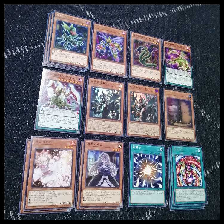 Yu-Gi-Oh Deck Prey Upon Plant Predator Plants Starve [04645]. 1枚