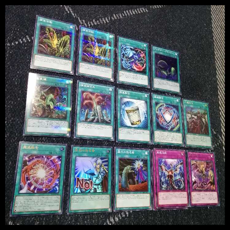 Yu-Gi-Oh Deck Prey Upon Plant Predator Plants Starve [04645]. 1枚