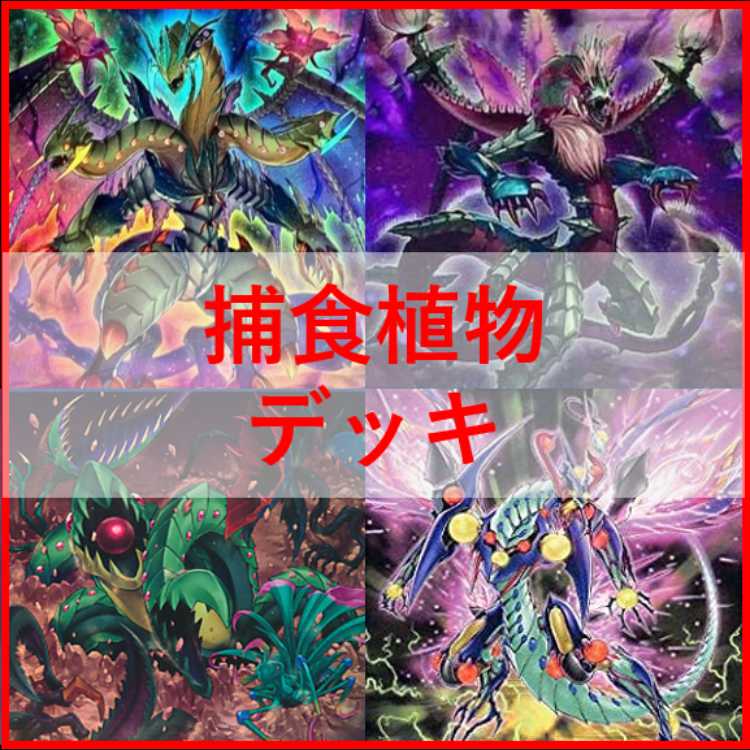 遊戯王　デッキ　捕食植物　プレデター・プランツ　スターヴ　[04650] 1枚