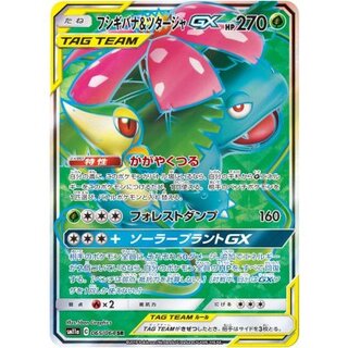 [Condition A-] Venusaur & SnivyGX [SR] {065/064} 1枚