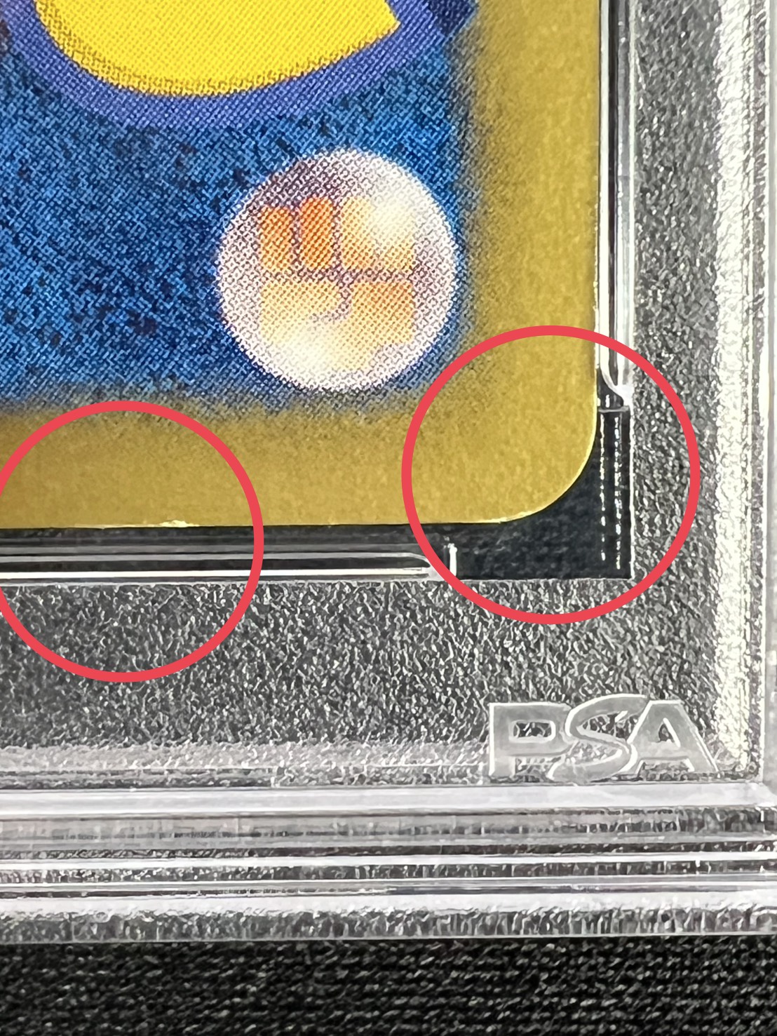 Pikachu [P] {229/BW-P} 1枚