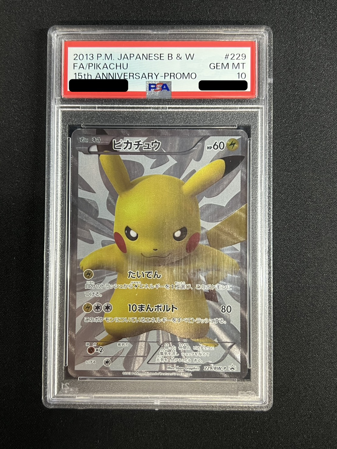 Pikachu [P] {229/BW-P} 1枚
